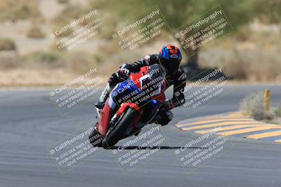 media/May-14-2023-SoCal Trackdays (Sun) [[024eb53b40]]/Turn 5 Tree of Life (1125am)/